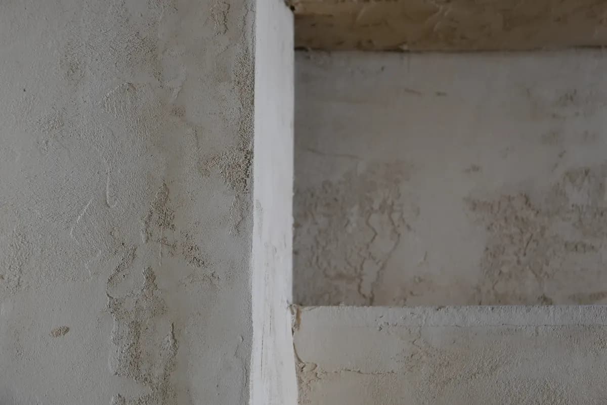 Natural plasters and paints in the showroom